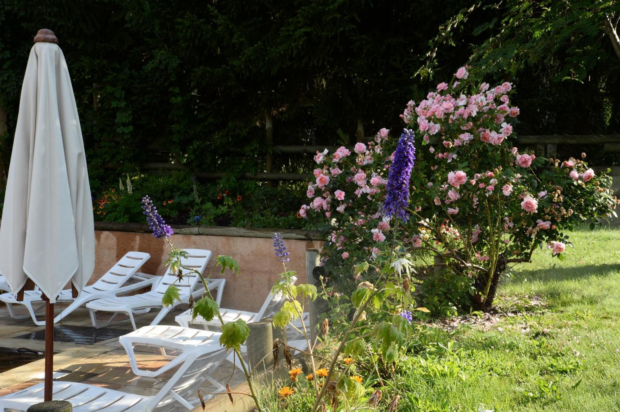 Alliey & Spa Piscine Appart-Hotel Serre Chevalier Le Monêtier-les-Bains Eksteriør billede